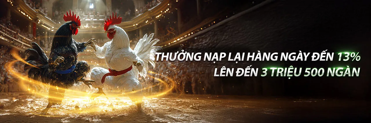 Sân đấu đá gà trực tuyến kịch tính tại 6623a code